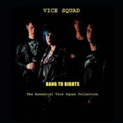 Vice Squad : Bang to Rights